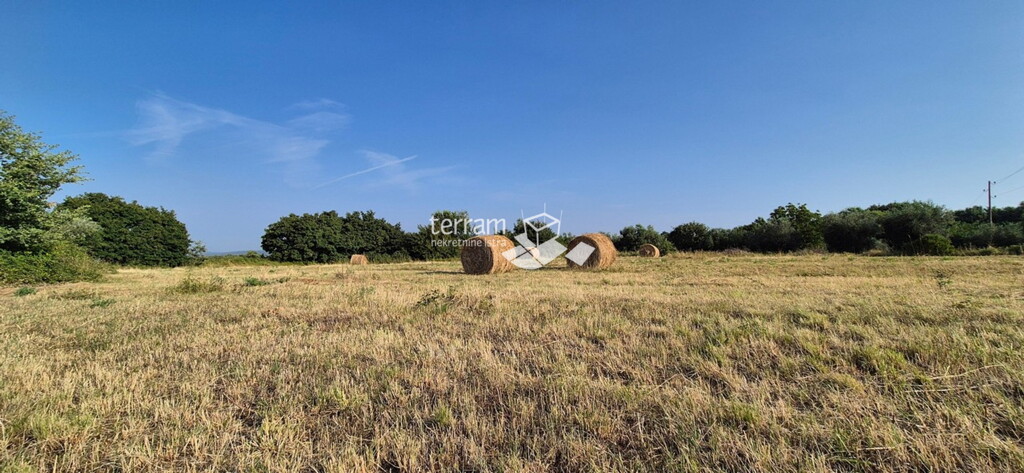 Image 6222425 - 1