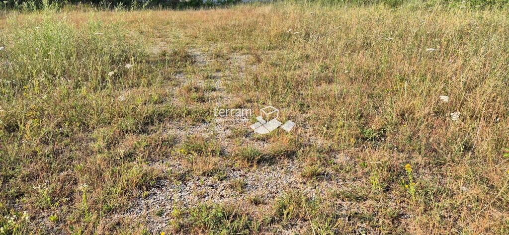 Image 6222427 - 2