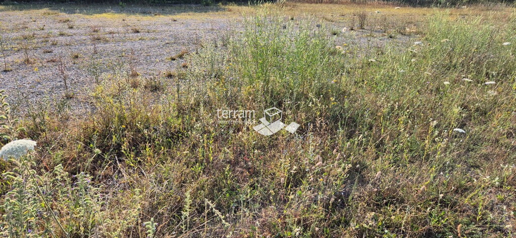 Image 6222427 - 3
