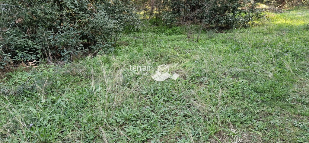Image 6222433 - 8