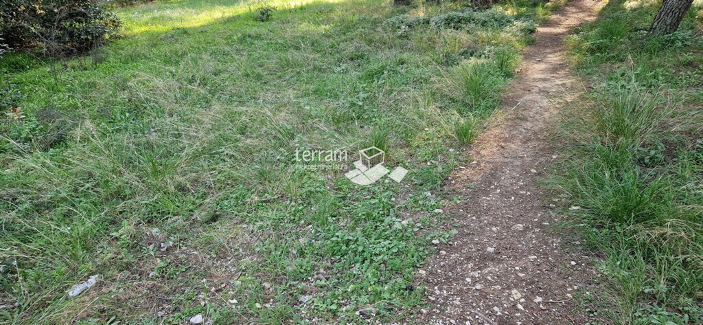 Image 6222433 - 4
