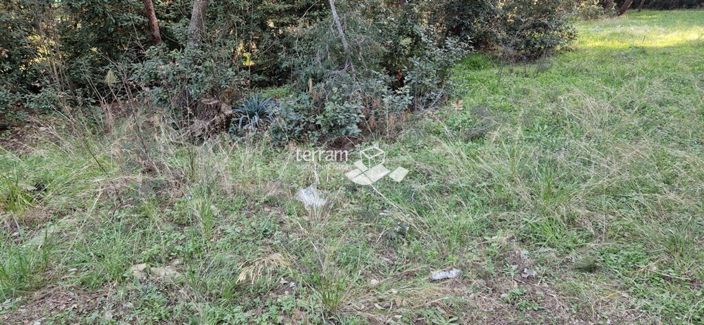 Image 6222433 - 5