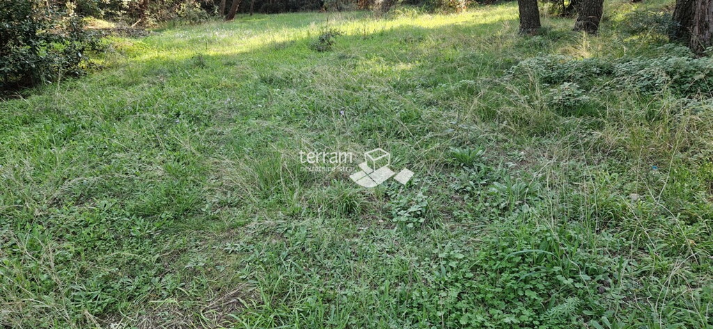 Image 6222433 - 7