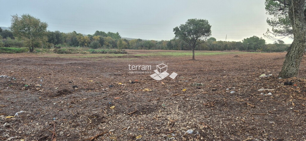 Image 6222448 - 1