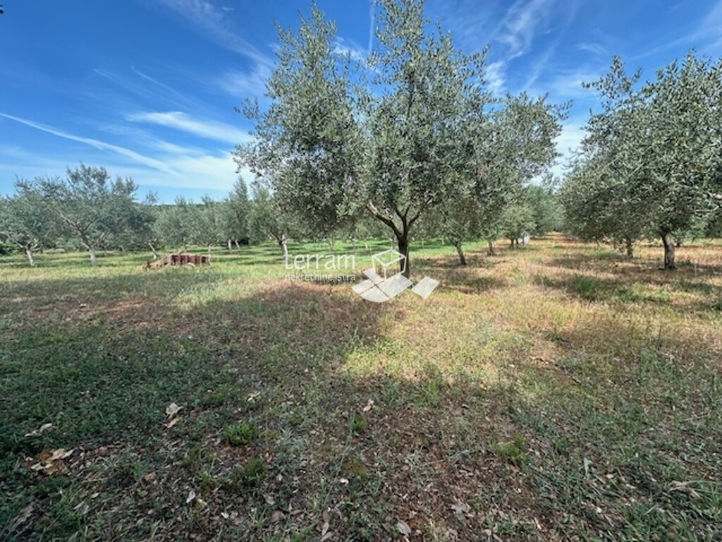 Image 6222458 - 6