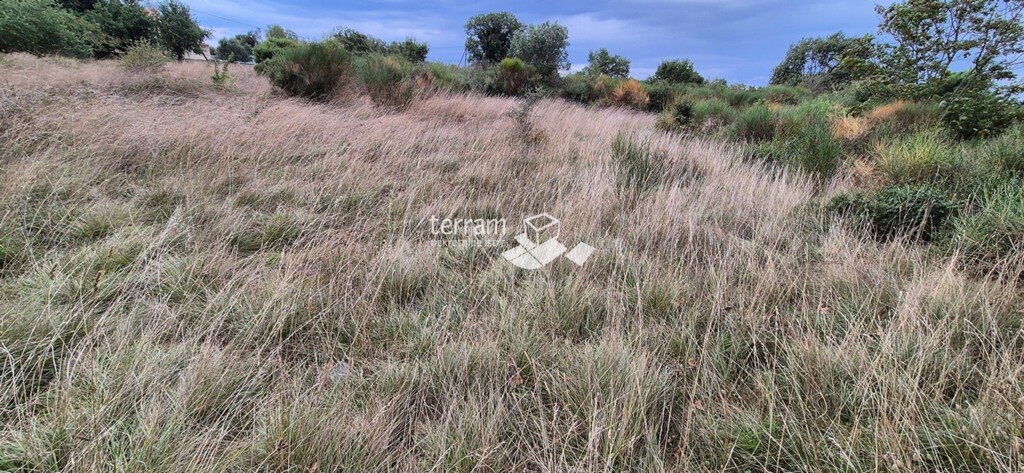 Image 6222461 - 4