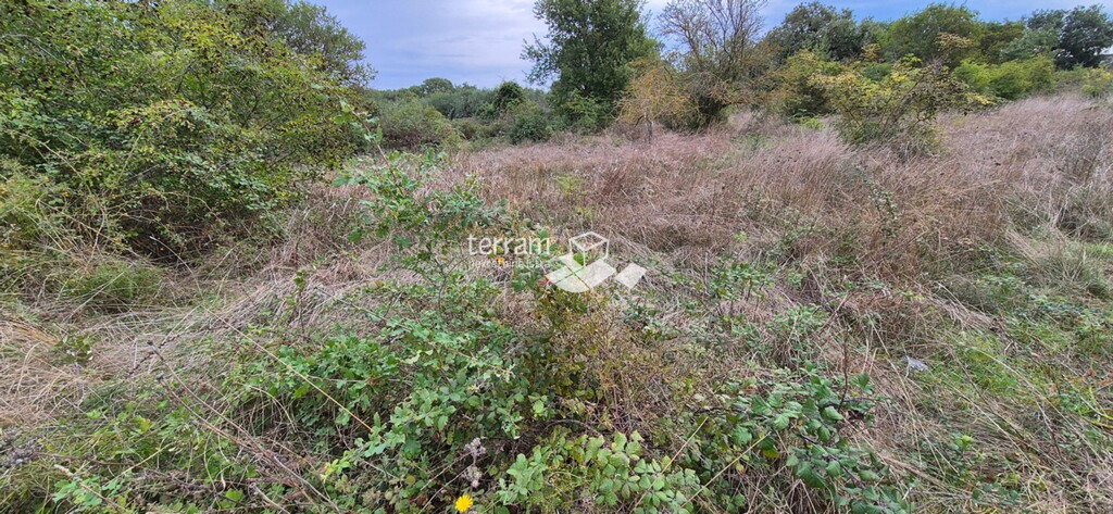 Image 6222461 - 1