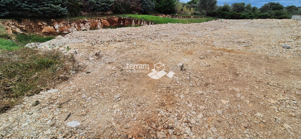Image 6222471 - 3