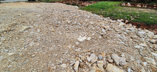 Thumbnail 6222471 - 6