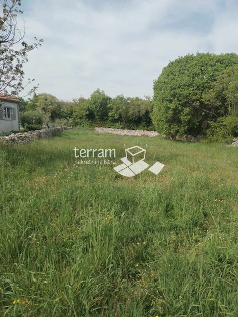 Image 6222475 - 2