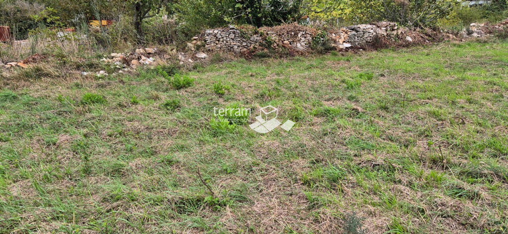 Image 6222485 - 2