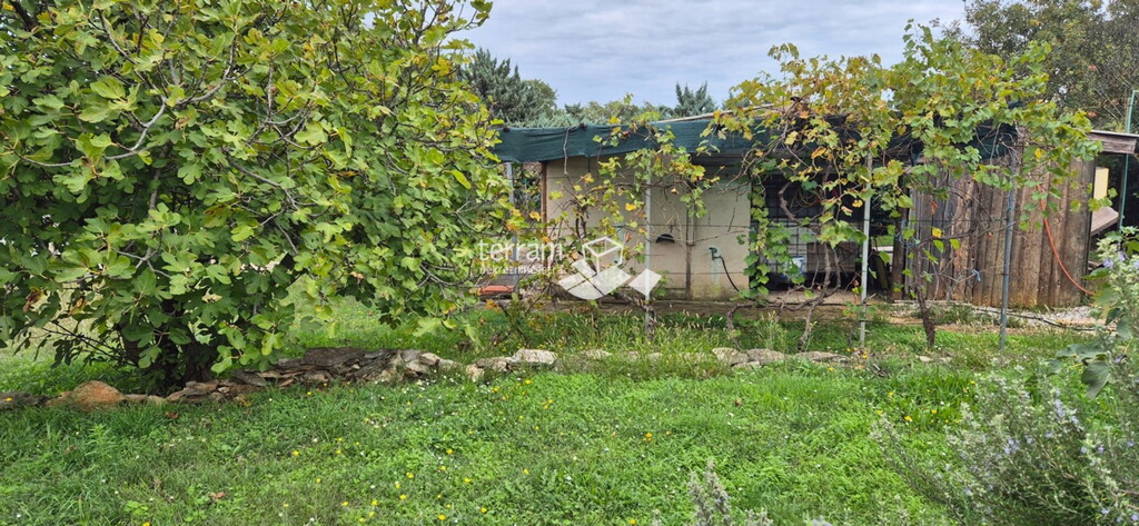 Image 6222489 - 2