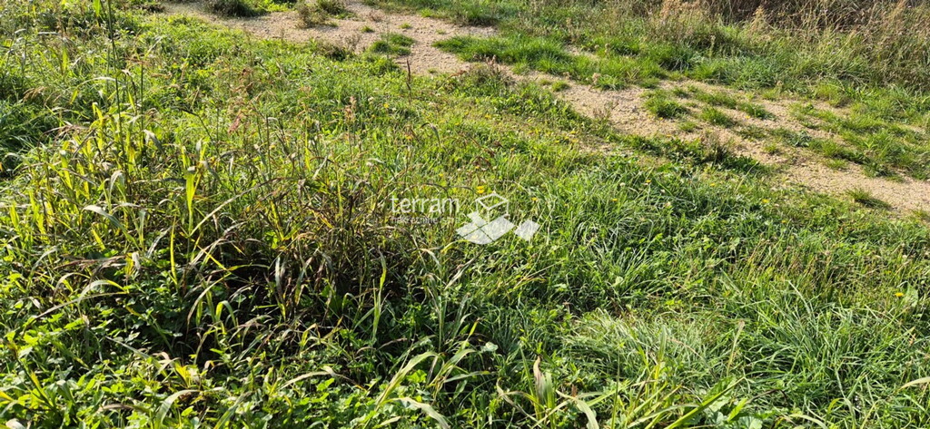 Image 6222492 - 1