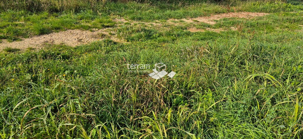 Image 6222492 - 2