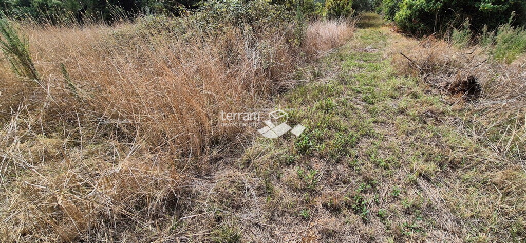Image 6222502 - 5