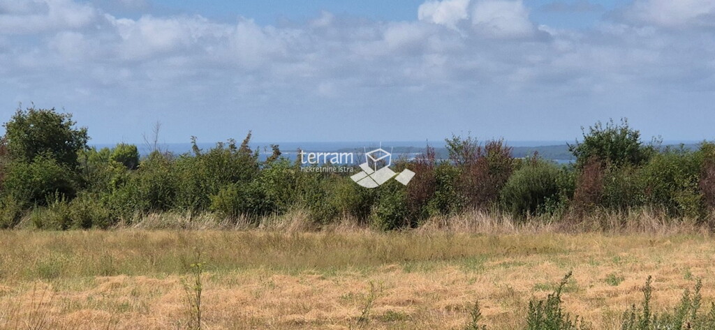 Image 6222502 - 2