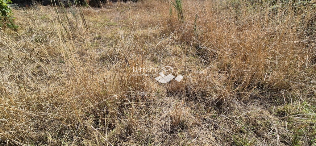 Image 6222502 - 4