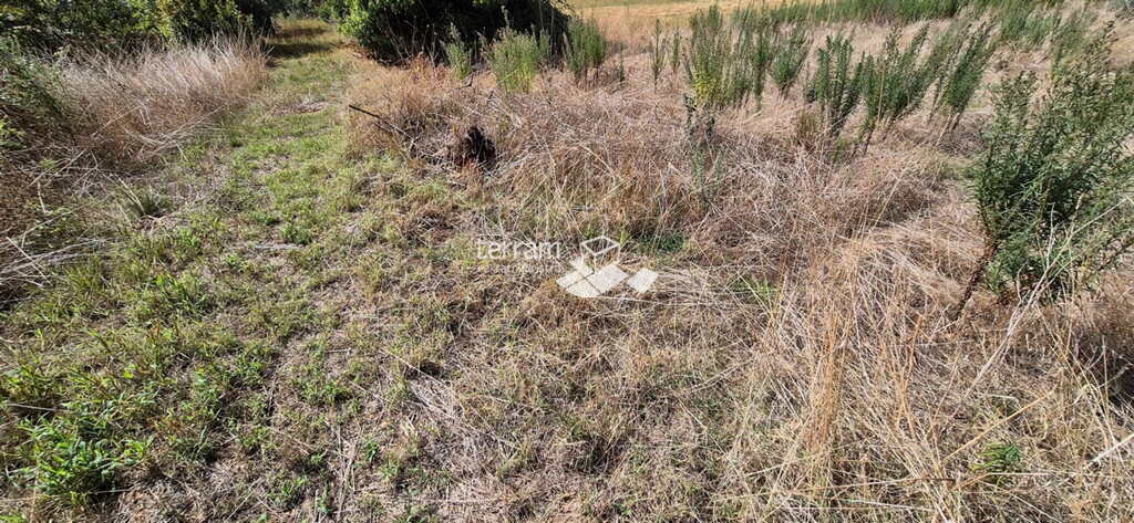 Image 6222502 - 3