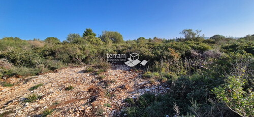 Thumbnail 6222506 - 3