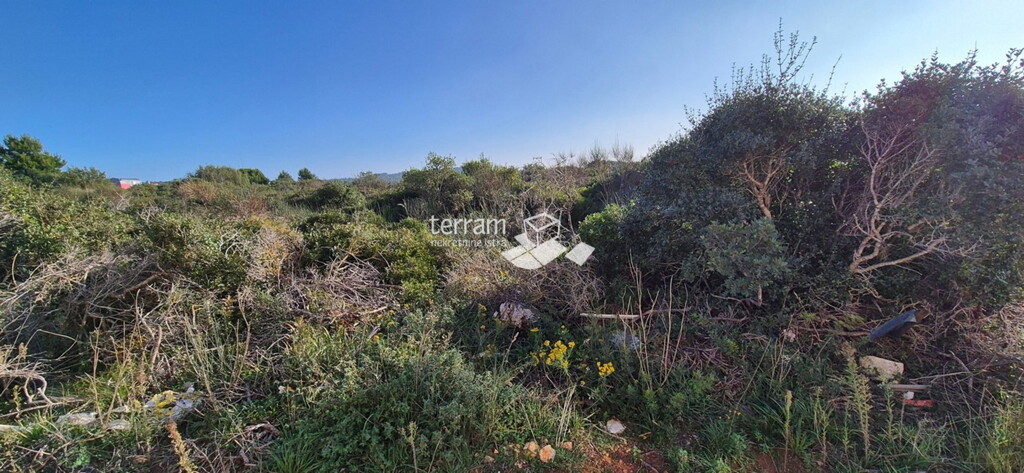 Image 6222506 - 2
