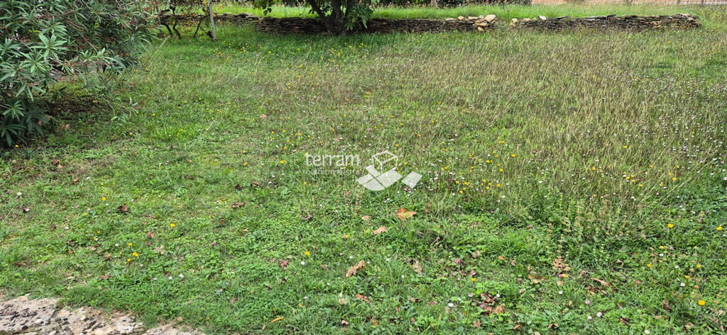 Image 6222522 - 3