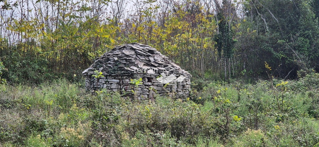 Image 6222523 - 2