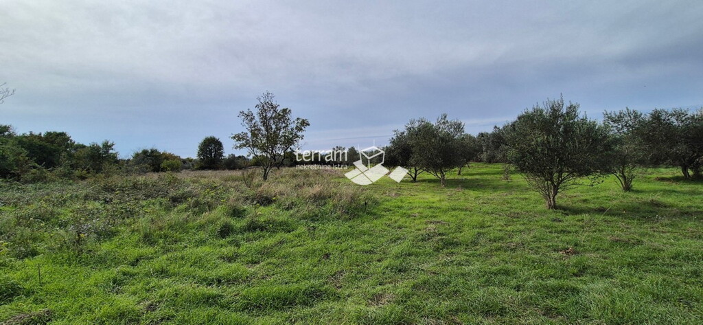 Image 6222523 - 7