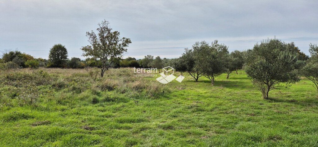 Image 6222523 - 3
