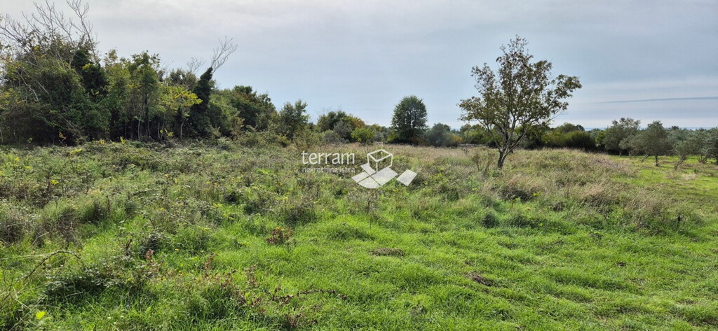 Image 6222523 - 4