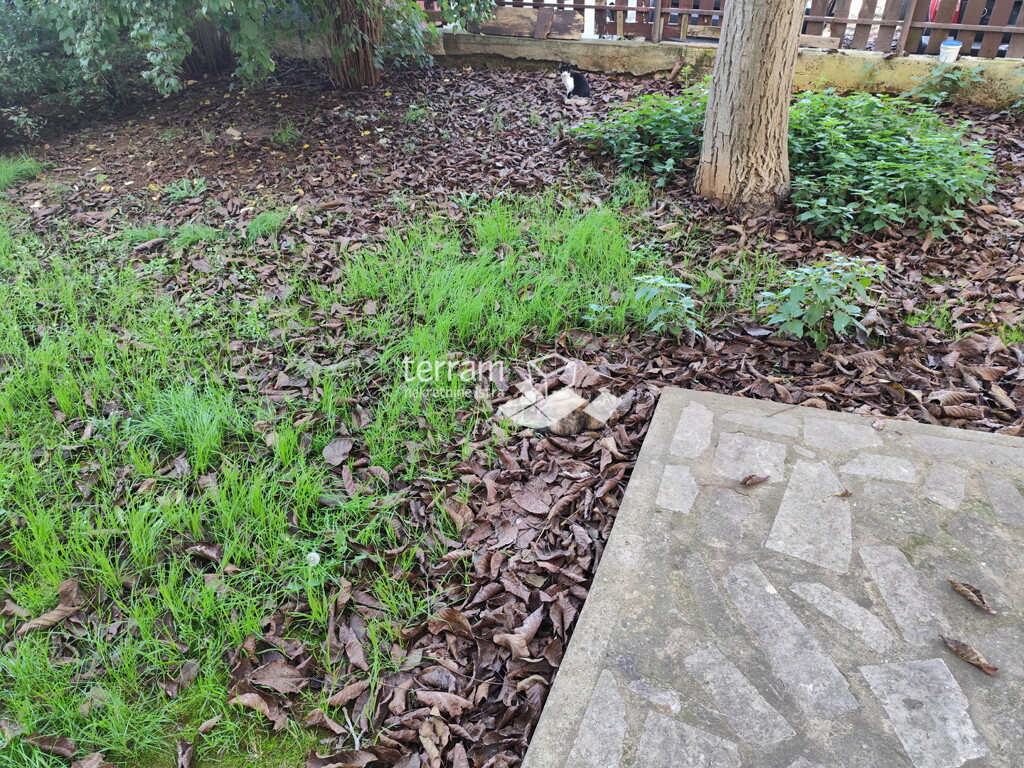 Image 6222524 - 4