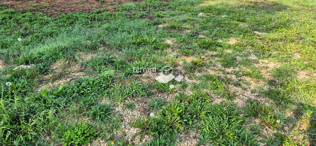 Image 6222526 - 2