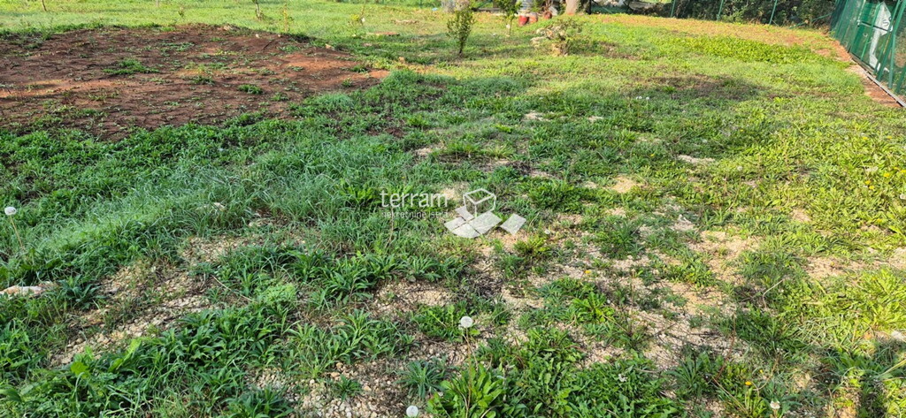 Image 6222526 - 3