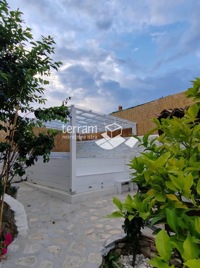 Image 6222527 - 3