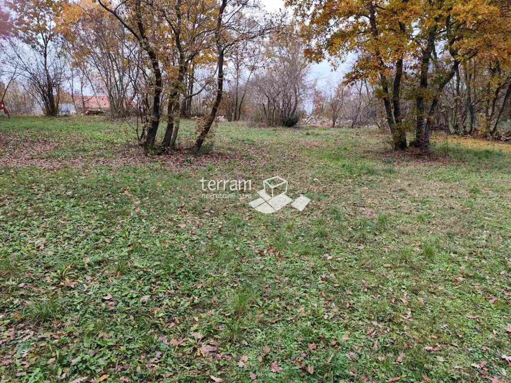 Image 6222533 - 3
