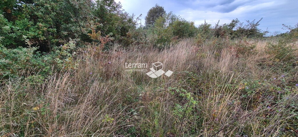 Image 6222543 - 4