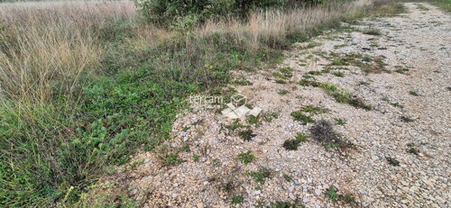 Thumbnail 6222543 - 1
