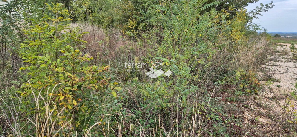 Image 6222543 - 3