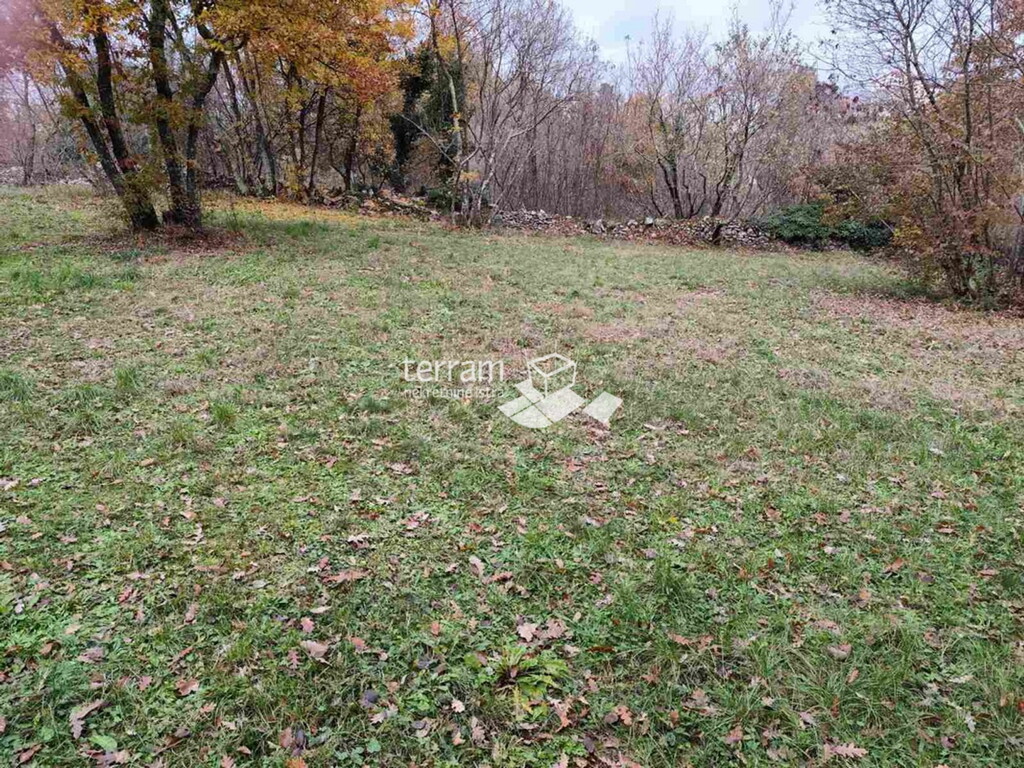 Image 6222547 - 2