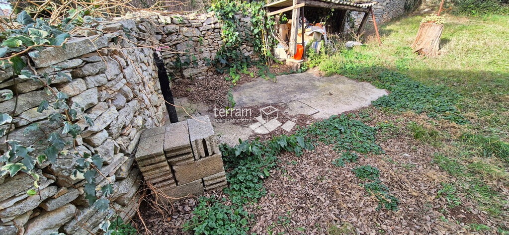 Image 6222549 - 1