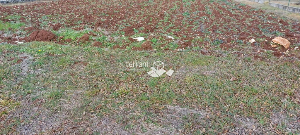 Image 6222550 - 1