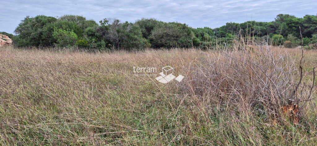 Image 6222554 - 1