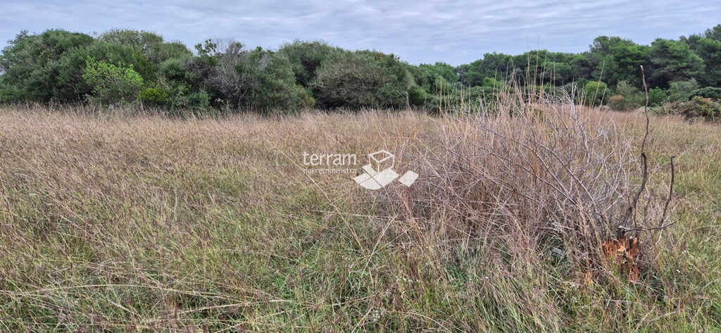 Image 6222554 - 5