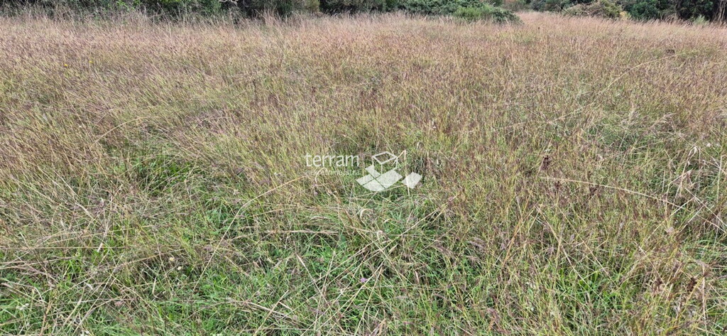 Image 6222554 - 3