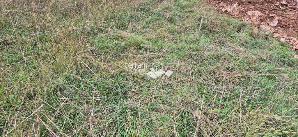 Image 6222554 - 4