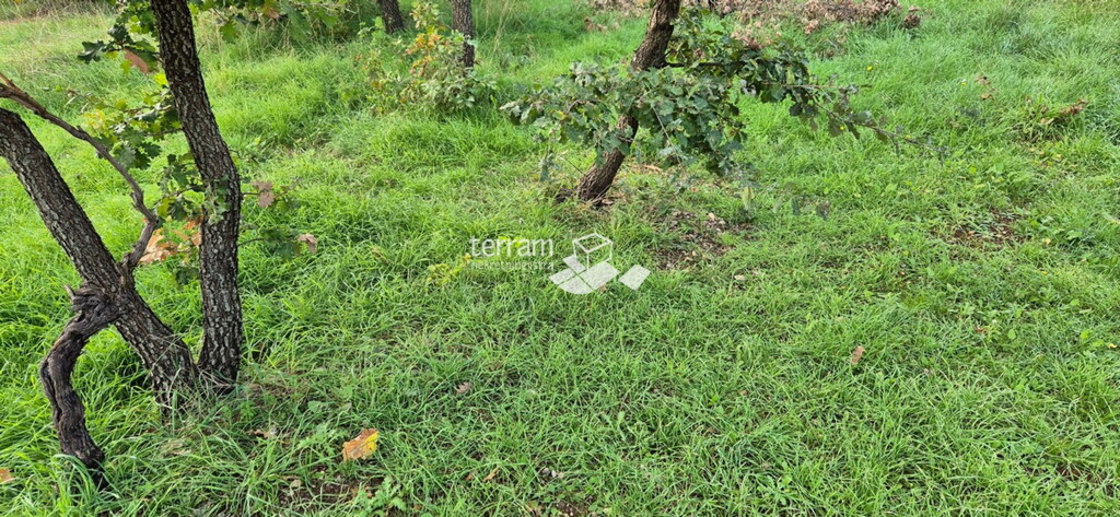 Image 6222558 - 5