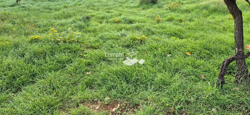 Image 6222558 - 4