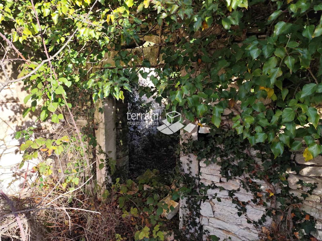 Image 6222571 - 3