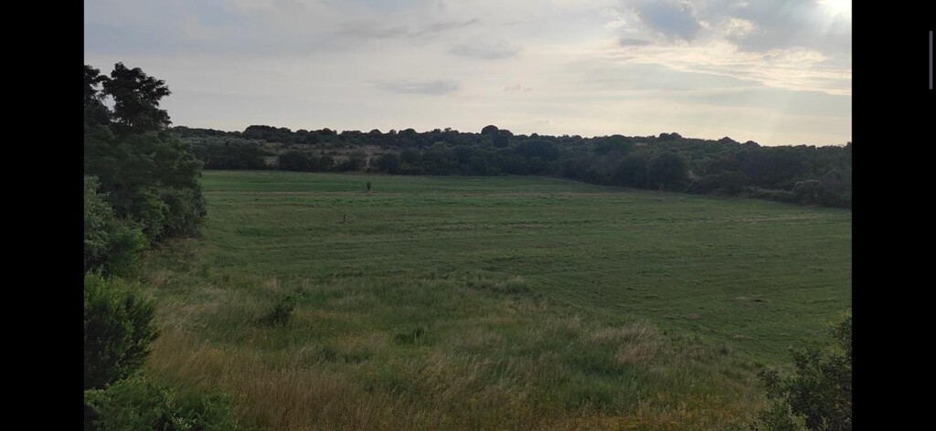 Image 6222592 - 3