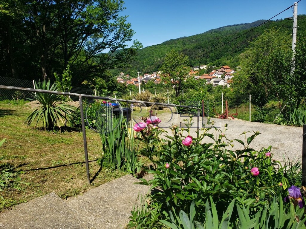 Image 6222936 - 3