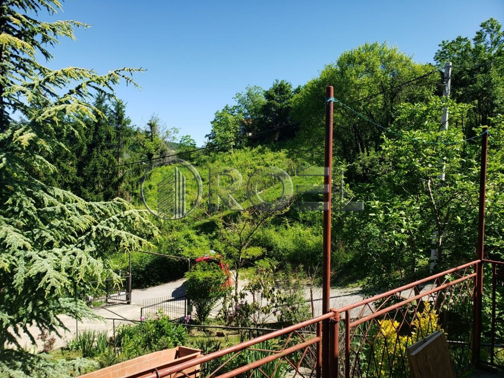 Image 6222936 - 2